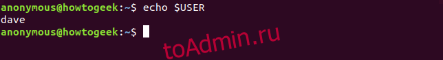 Использование echo для отображения переменной пользовательской среды