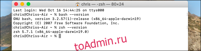 Просмотр версий Bash и Zsh на macOS Catalina.