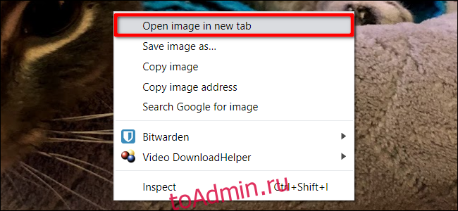 Chrome Открыть изображение в новой вкладке