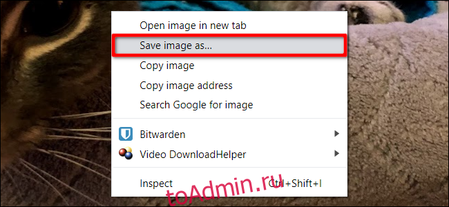 Chrome Сохранить изображение как