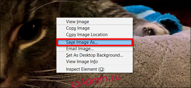 Firefox Сохранить изображение как