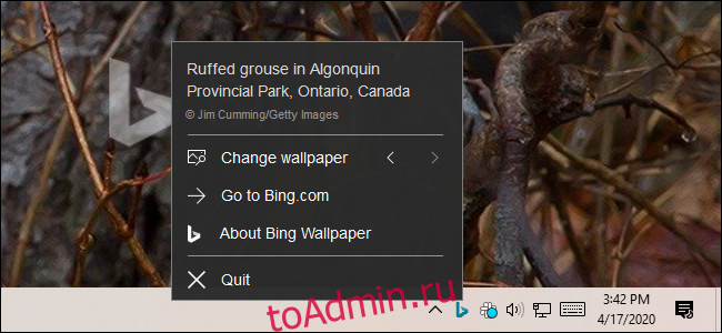 Управление приложением Bing Wallpaper с помощью значка в области уведомлений.