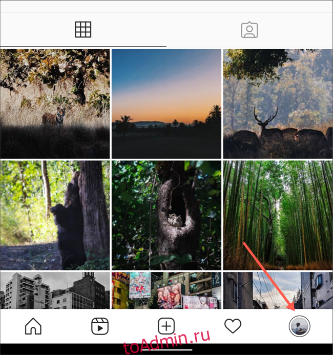 Посетите вкладку профиля в приложении Instagram.